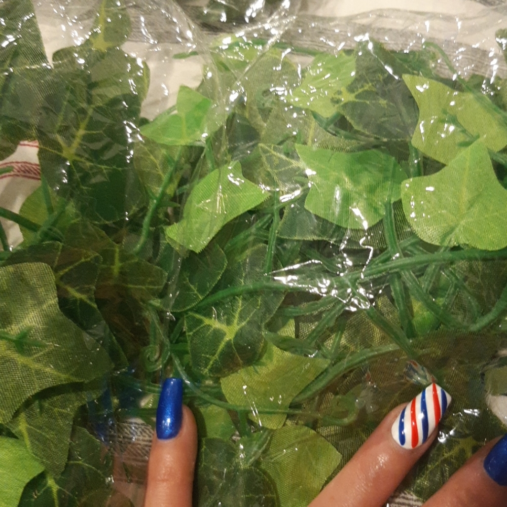 Green vine.